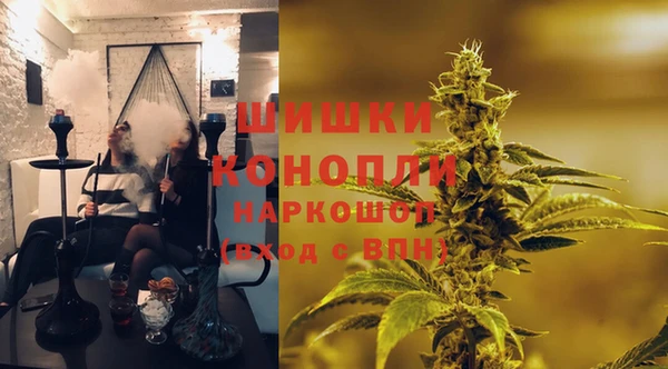 амф Богородицк
