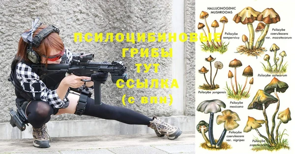 мяу мяу мука Александровское